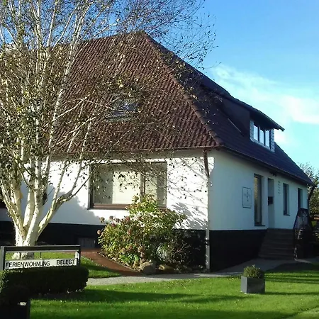 Kleine Nixe Seestern Cuxhaven