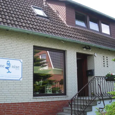 Kleine Nixe Seestern * Cuxhaven